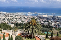 IMG-20220609-WA0054-1