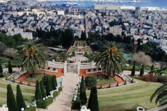 IMG-20220609-WA0064-1