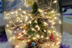 IMG_20221202_163007-scaled