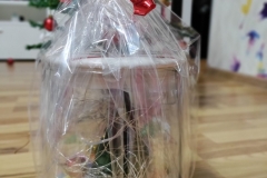 IMG_20221202_165121-scaled