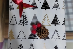 IMG_20221205_191809-scaled