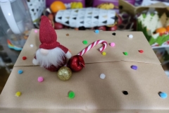 IMG_20221205_204040-scaled