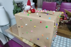 IMG_20221205_204107-scaled