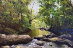 FB_IMG_1655559323525