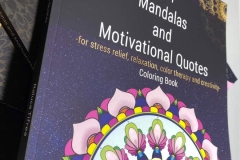 FB_IMG_1655665637440