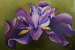 FB_IMG_1655665982273